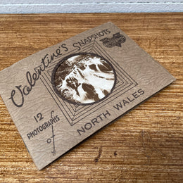 Vintage Valentines Snapshots Photographs Booklet