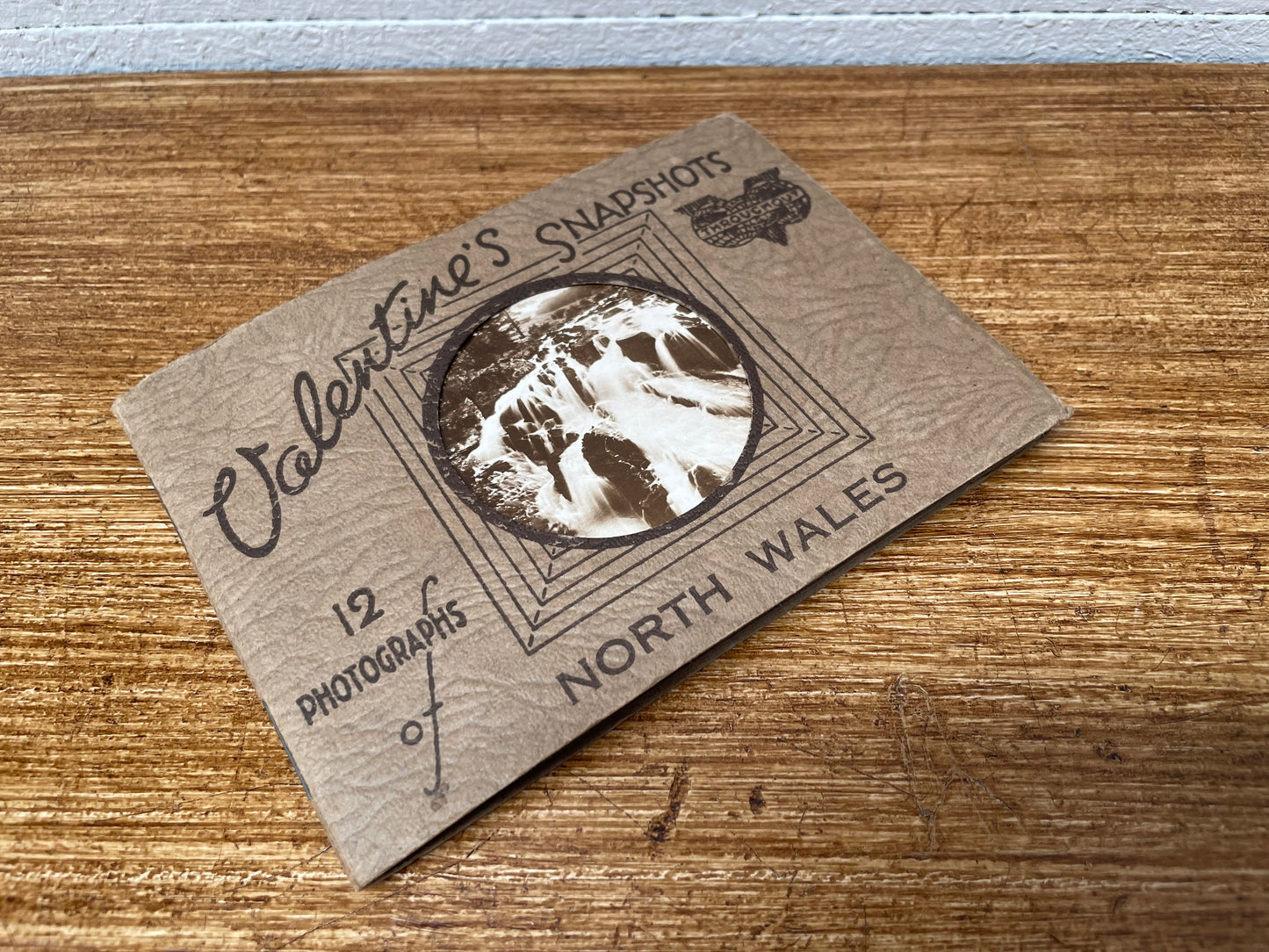 Vintage Valentines Snapshots Photographs Booklet