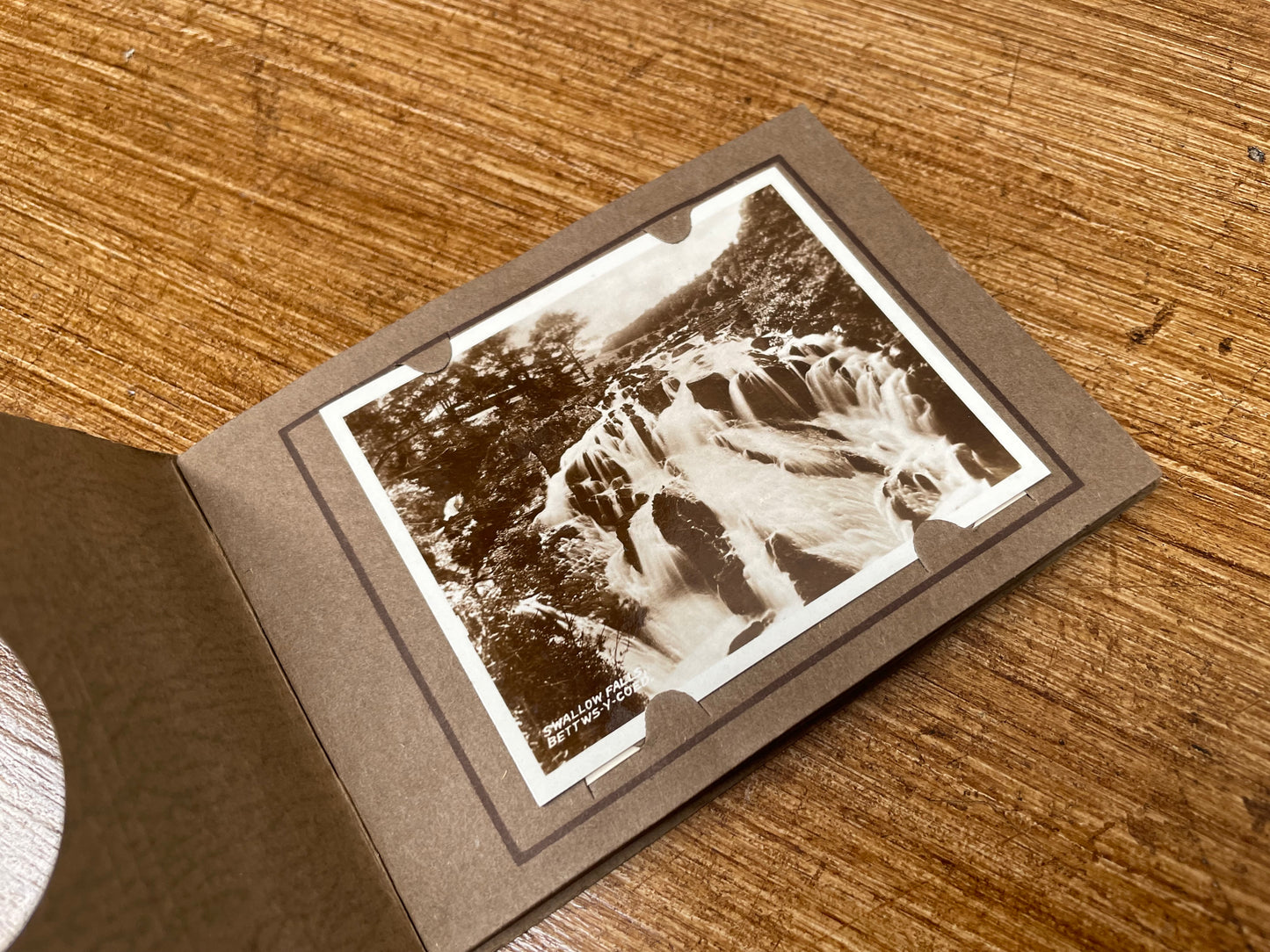 Vintage Valentines Snapshots Photographs Booklet