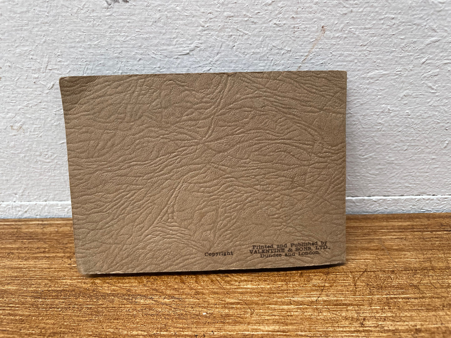 Vintage Valentines Snapshots Photographs Booklet