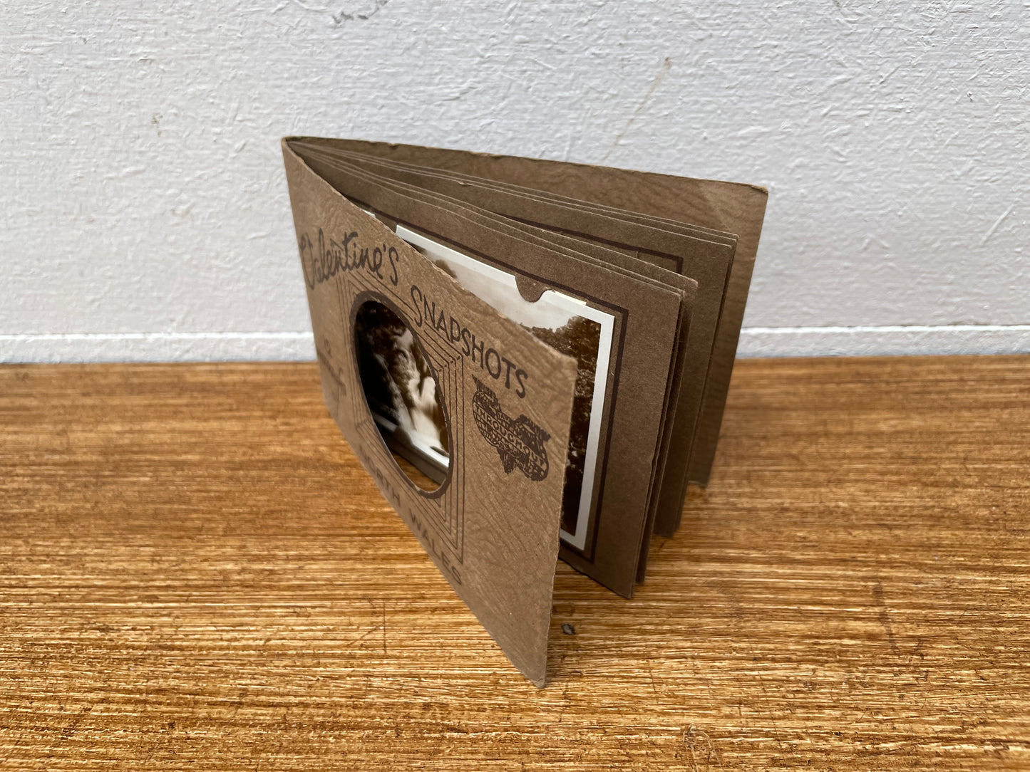 Vintage Valentines Snapshots Photographs Booklet