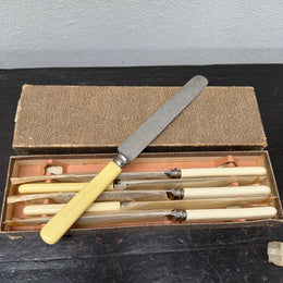 Antique Set 6 Bone Handled Knives In Original Box