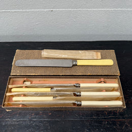 Antique Set 6 Bone Handled Knives In Original Box