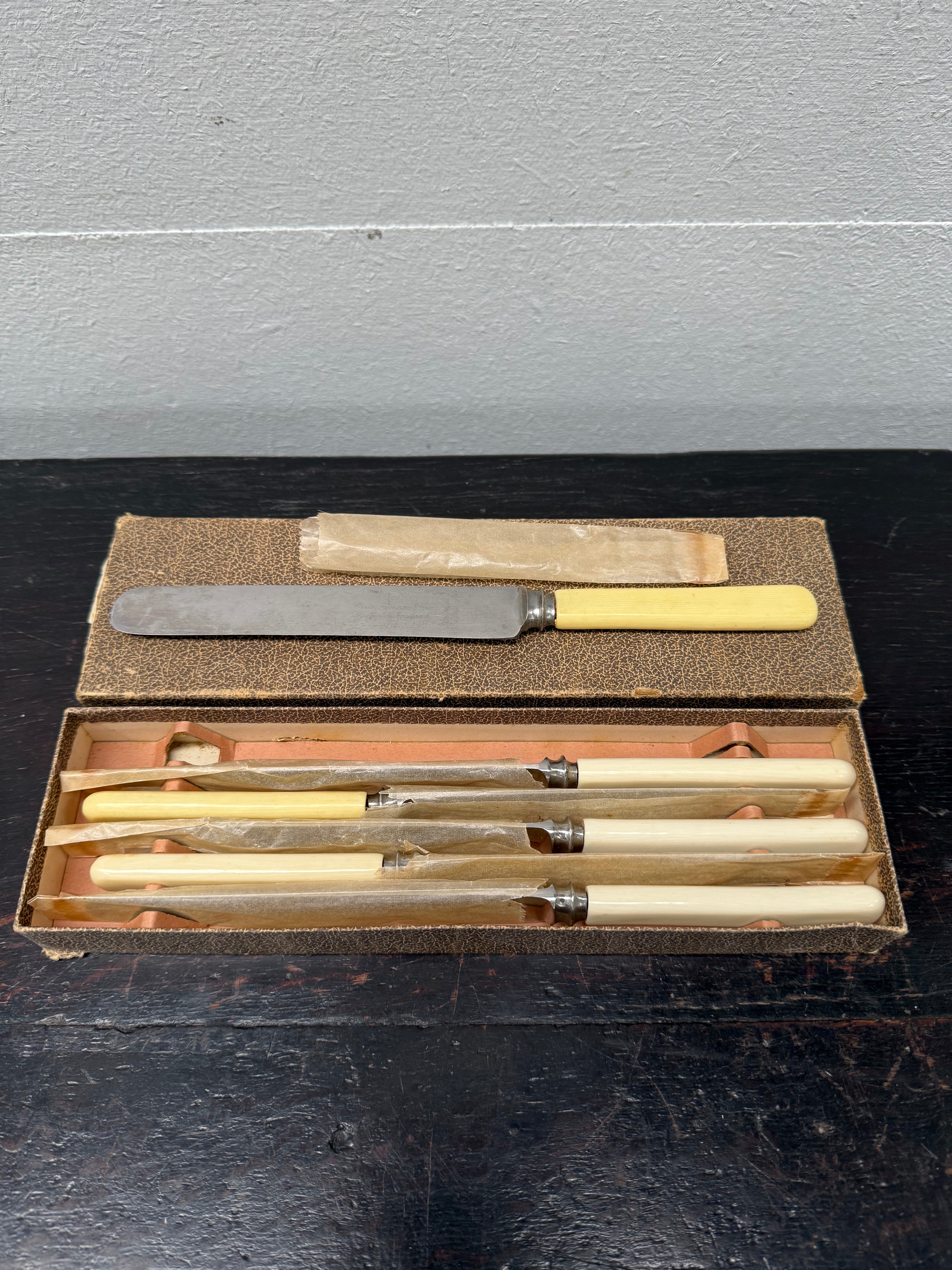 Antique Set 6 Bone Handled Knives In Original Box | Antique & Vintage | Moonee Ponds Antiques | Australia Wide Delivery