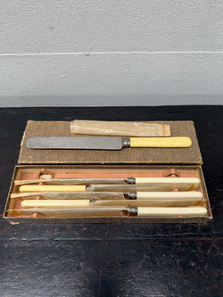 Antique Set 6 Bone Handled Knives In Original Box | Antique & Vintage | Moonee Ponds Antiques | Australia Wide Delivery