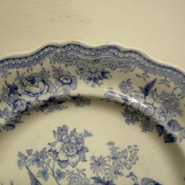 Early Victorian Asiatic Pheasant Plates