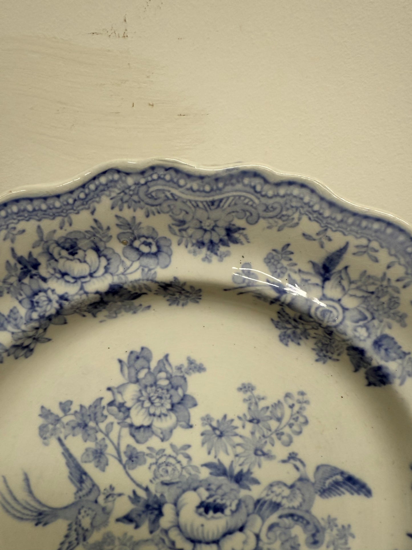 Early Victorian Asiatic Pheasant Plates