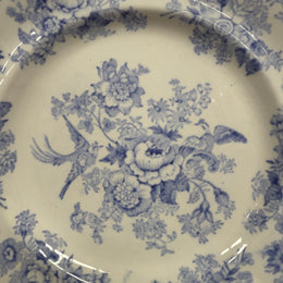 Early Victorian Asiatic Pheasant Plates