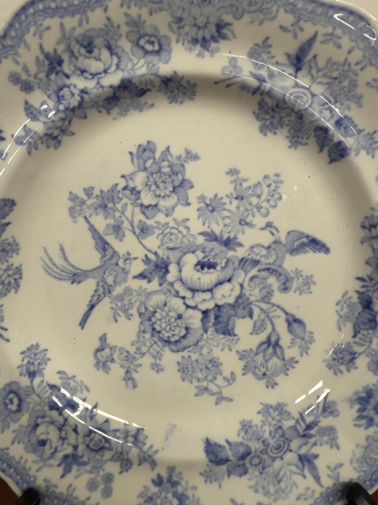 Early Victorian Asiatic Pheasant Plates