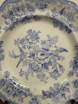 Early Victorian Asiatic Pheasant Plates | Antique & Vintage | Moonee Ponds Antiques | Australia Wide Delivery