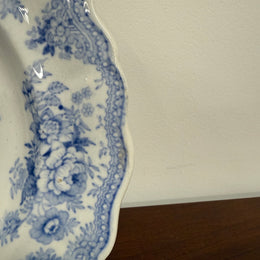 Early Victorian Asiatic Pheasant Plates