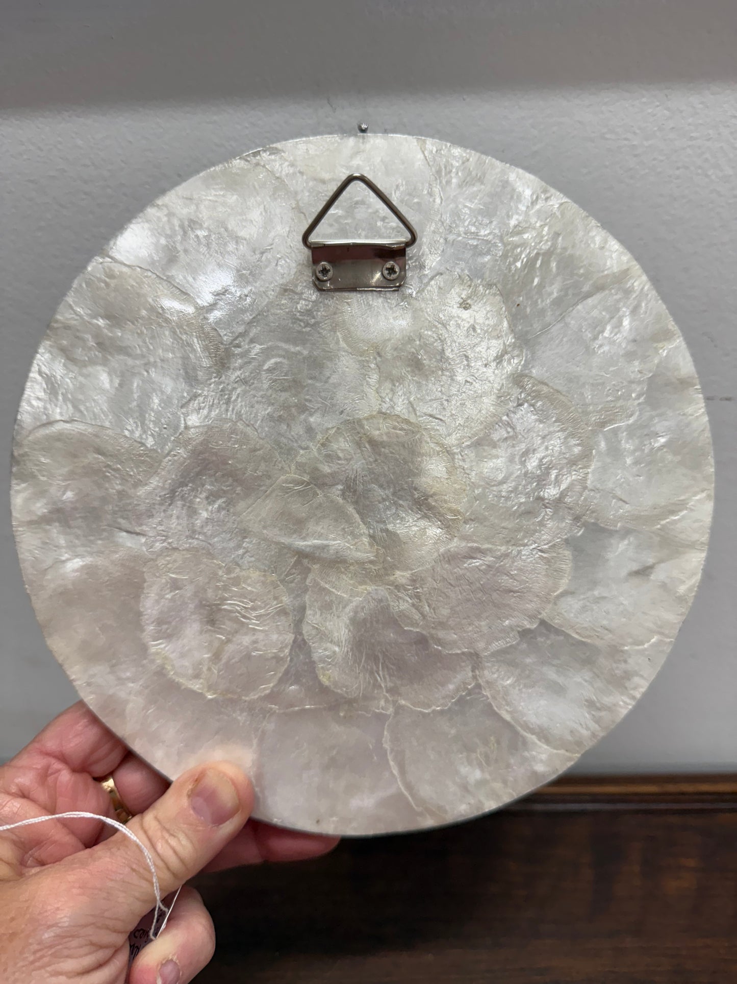 Hand Painted Del Sol Bird Plaque