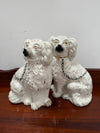Pair Of Large Antique Staffordshire Spaniel Mantel Dogs | Antique & Vintage | Moonee Ponds Antiques | Australia Wide Delivery
