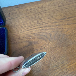 Victorian Silver Birmingham 1899 Vesta Case