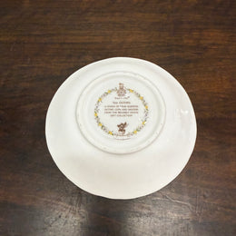 Brambly Hedge Tea Cup & Saucer 'The Outing'