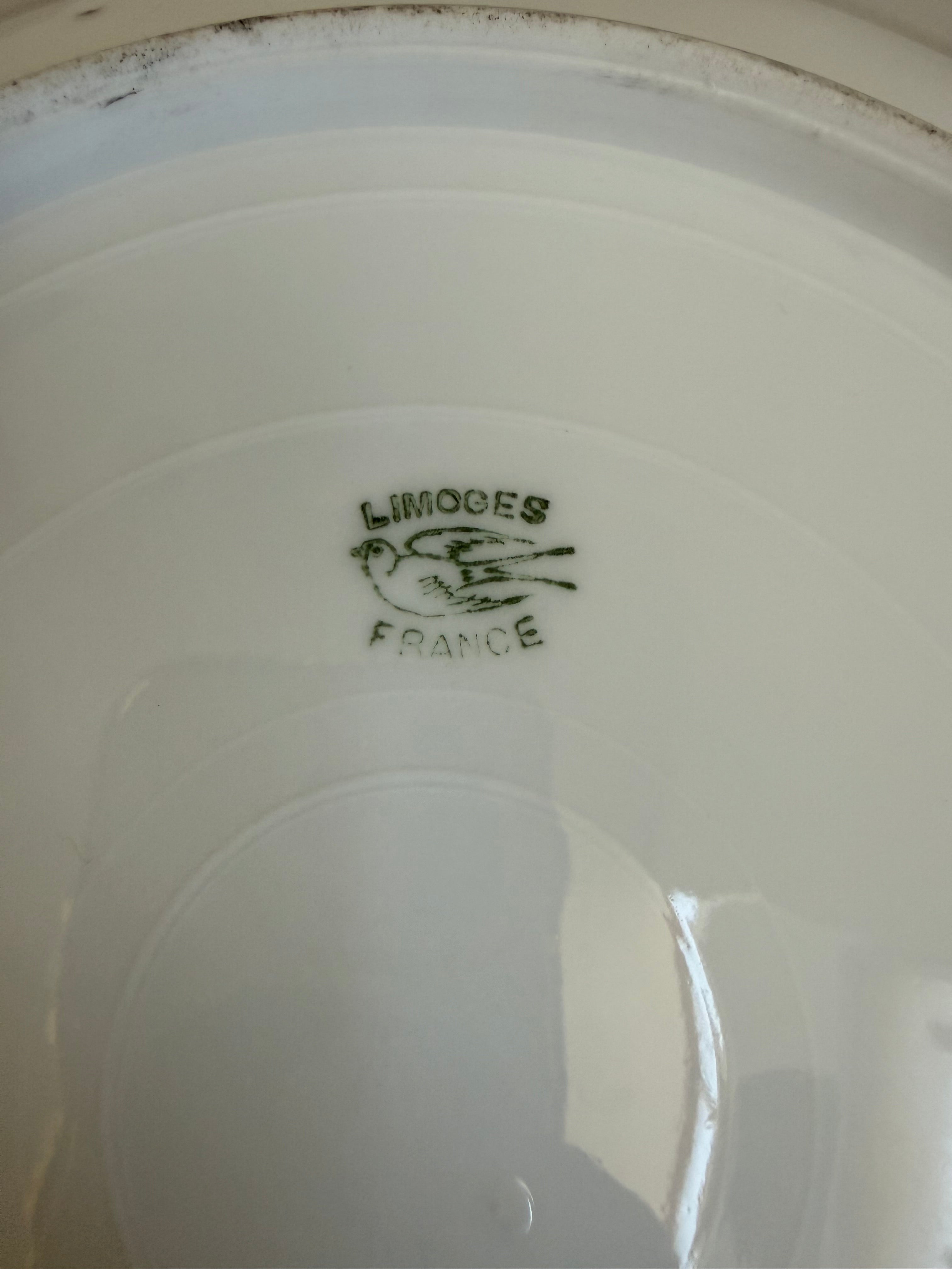 Antique Limoges Hand Painted Plate C1900