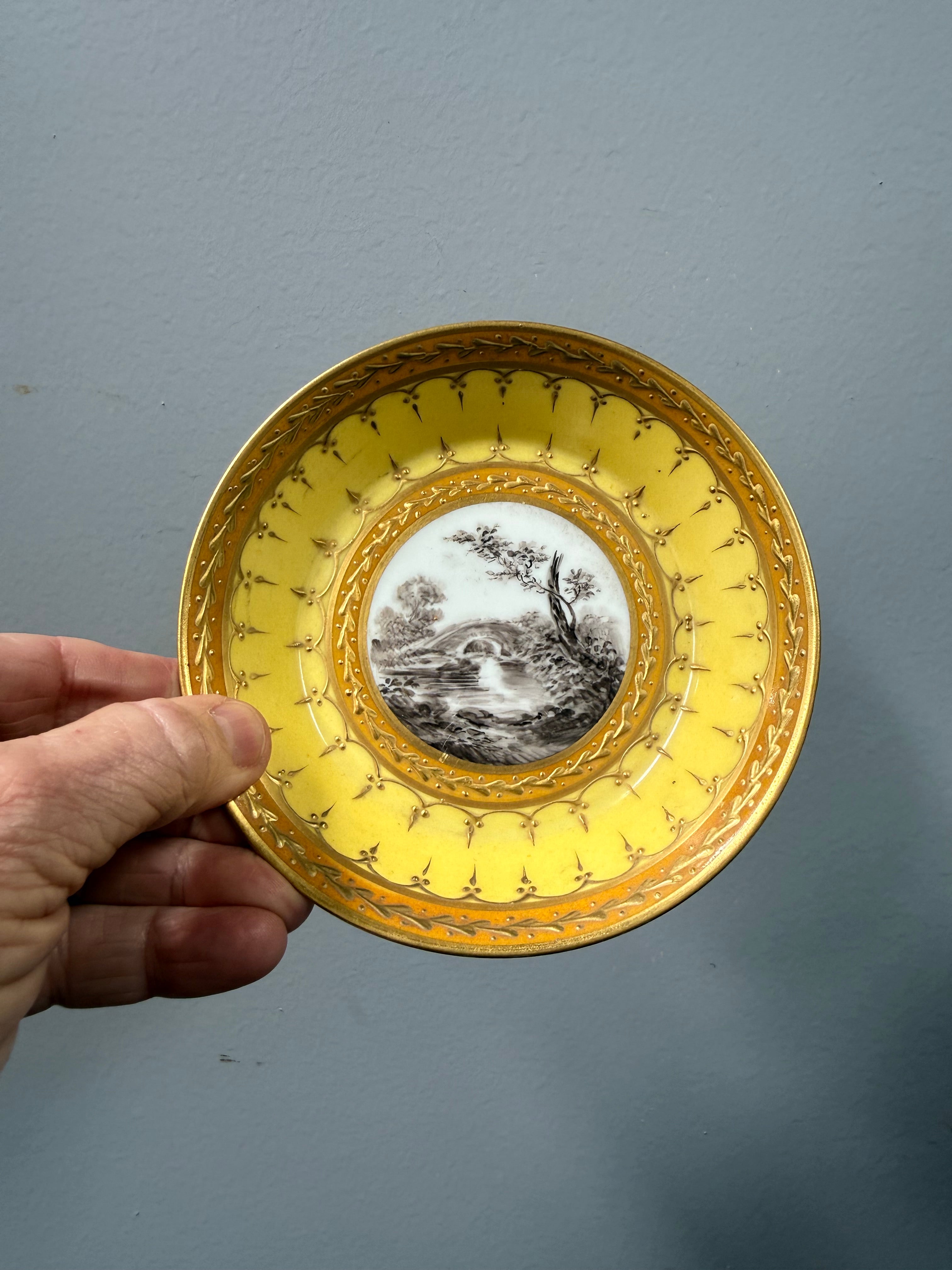 Luxury Regency-Empire Period Cup & Saucer