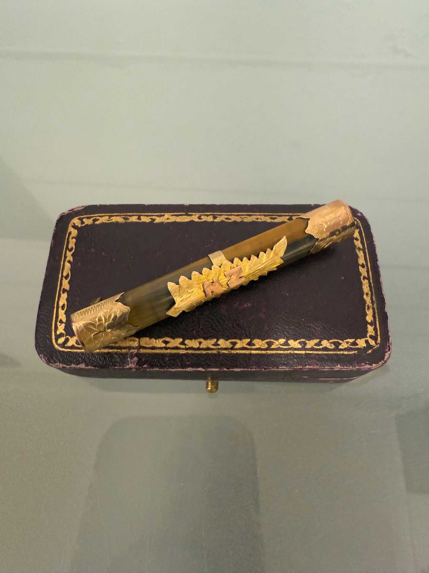 Edwardian New Zealand Tiger Eye & 9ct Gold brooch