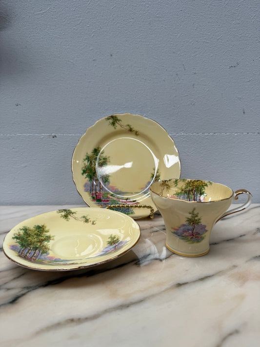 Aynsley Trio Bluebell Time