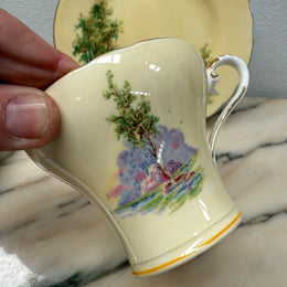 Aynsley Trio Bluebell Time