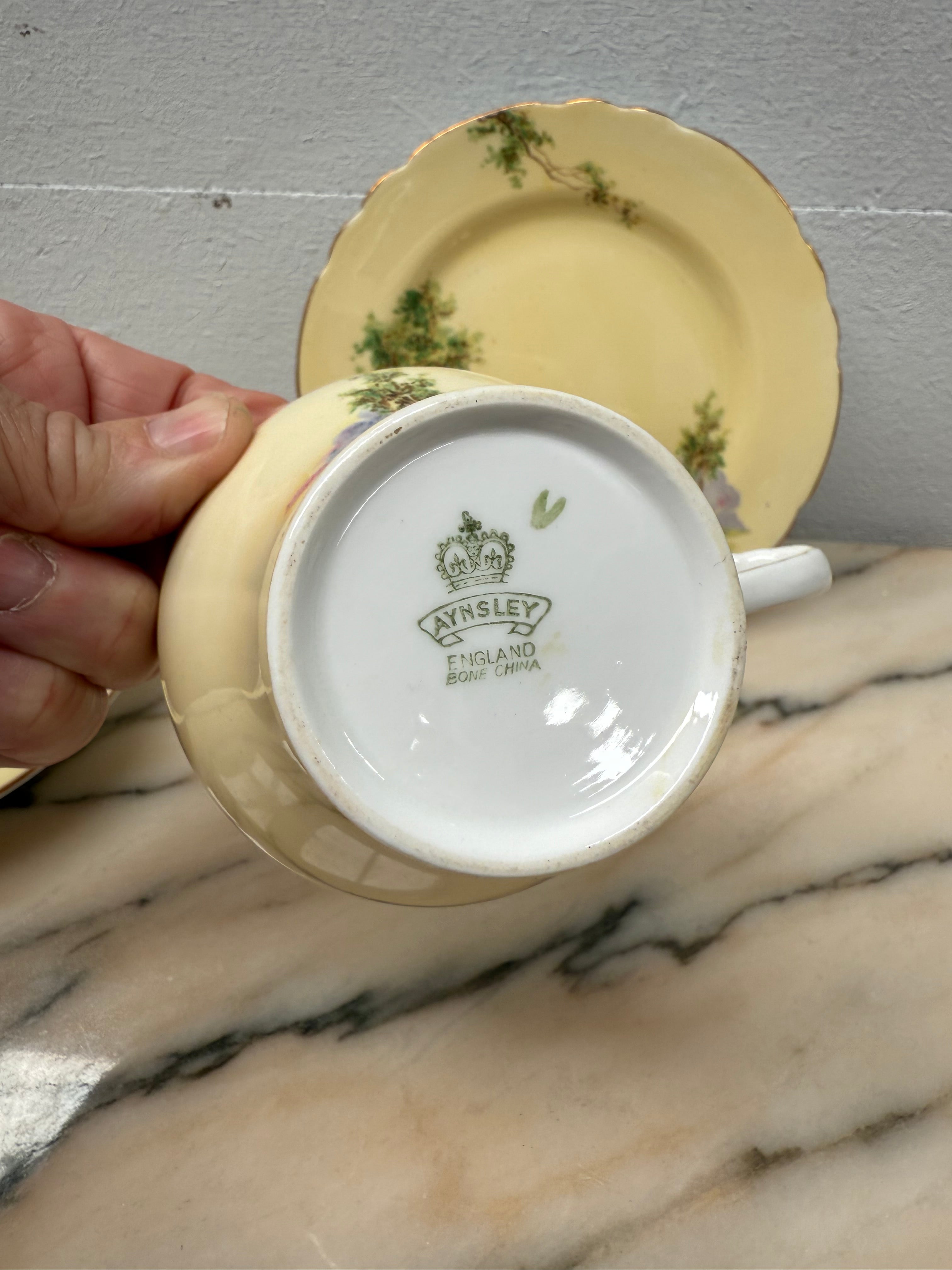 Aynsley Trio Bluebell Time | Antique & Vintage | Moonee Ponds Antiques | Australia Wide Delivery