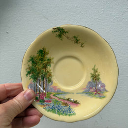 Aynsley Trio Bluebell Time