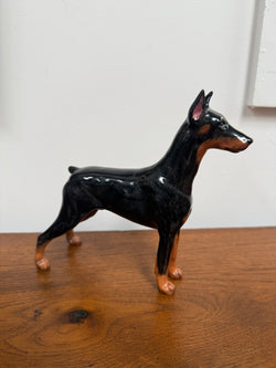 Rare Royal Doulton Doberman Pinscher Figure | Antique & Vintage | Moonee Ponds Antiques | Australia Wide Delivery