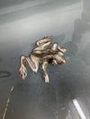 Vintage Silver Plated Frog | Antique & Vintage | Moonee Ponds Antiques | Australia Wide Delivery