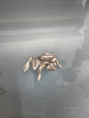 Vintage Silver Plated Frog | Antique & Vintage | Moonee Ponds Antiques | Australia Wide Delivery