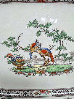 Copeland Spode Meat/Serving Plate | Antique & Vintage | Moonee Ponds Antiques | Australia Wide Delivery
