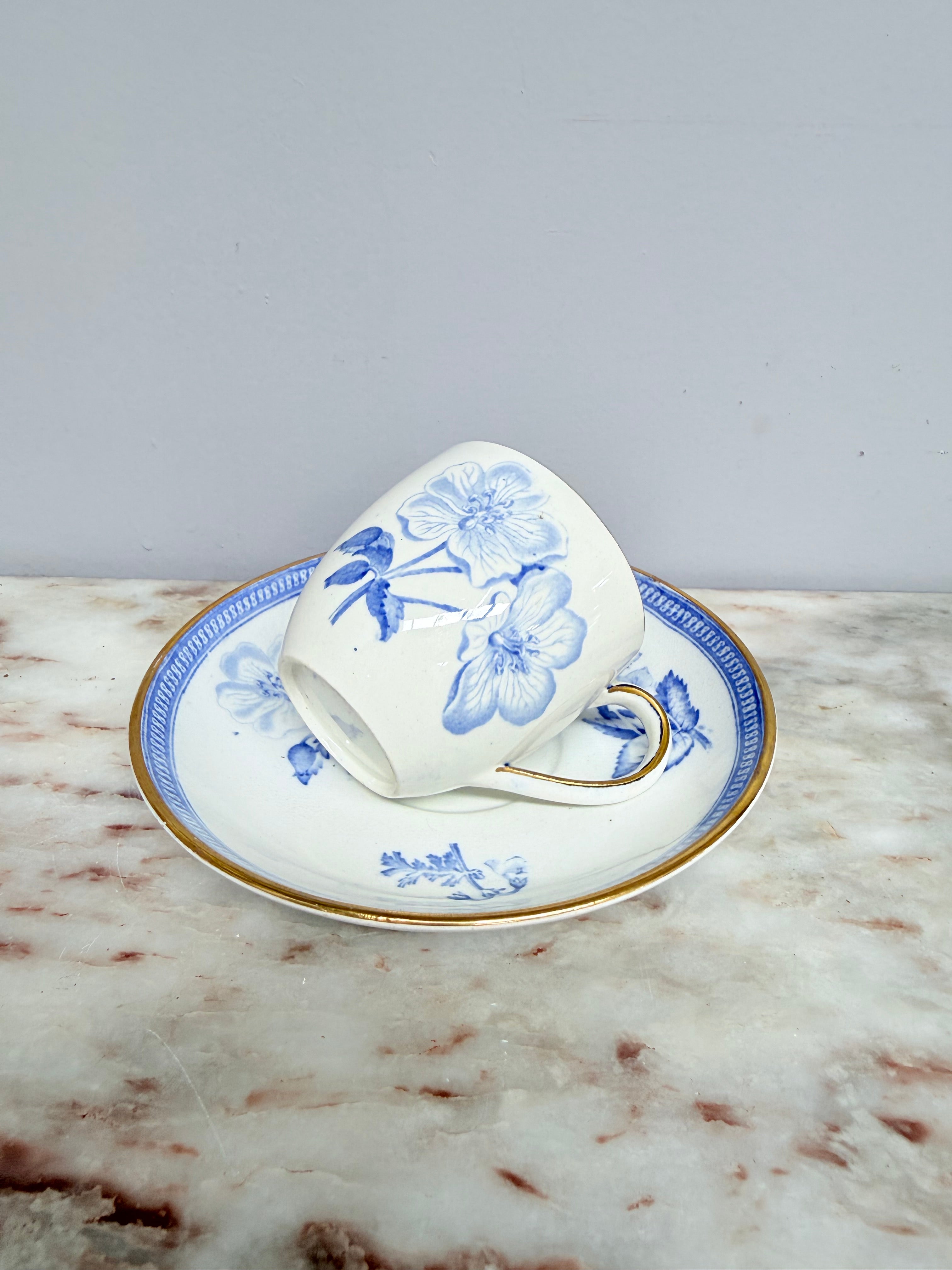 Wedgwood Botanical Cup & Saucer C1840