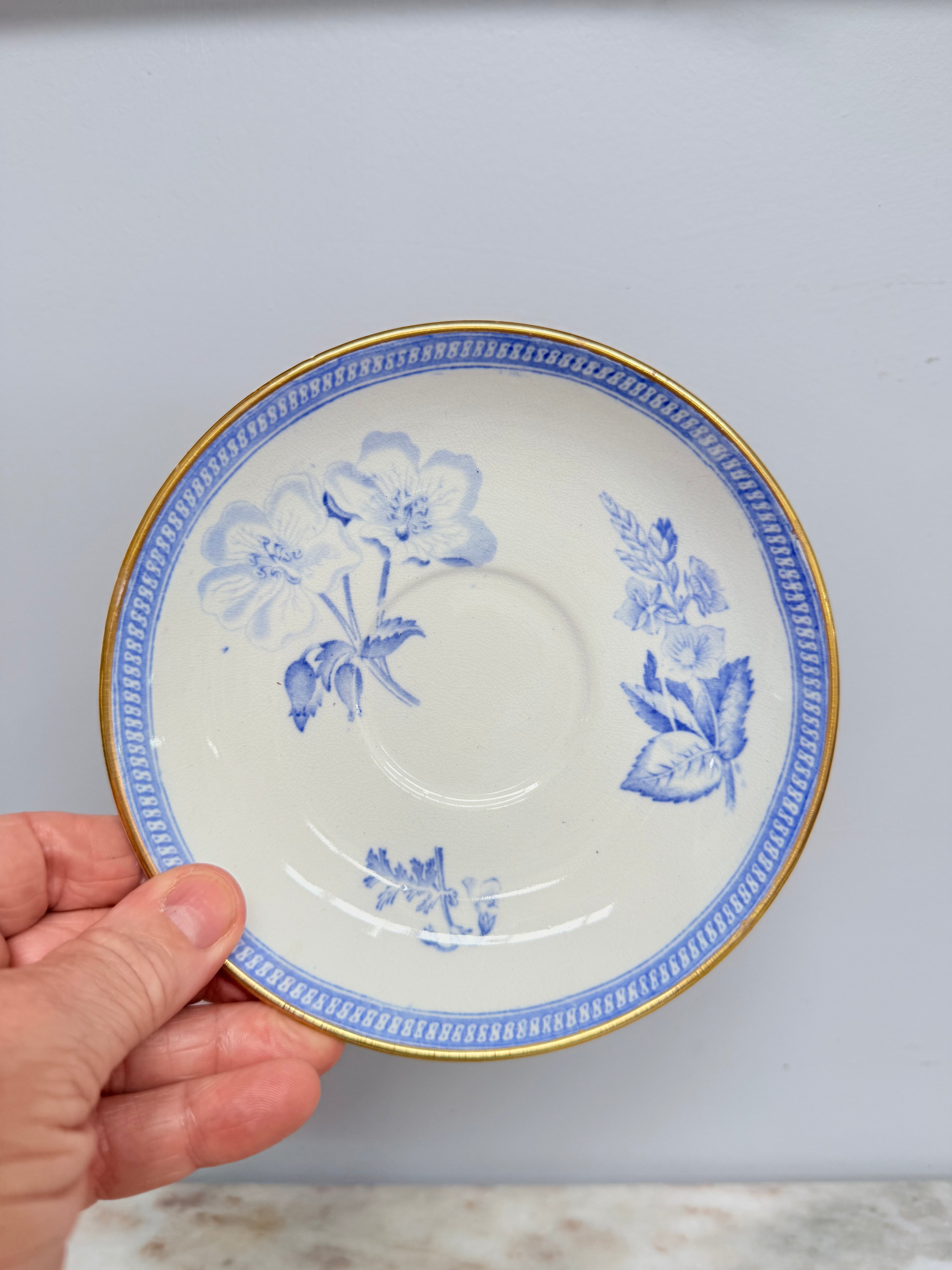 Wedgwood Botanical Cup & Saucer C1840 | Antique & Vintage | Moonee Ponds Antiques | Australia Wide