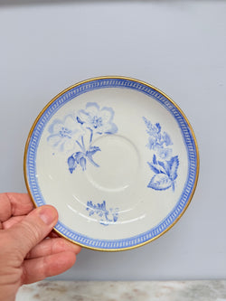 Wedgwood Botanical Cup & Saucer C1840 | Antique & Vintage | Moonee Ponds Antiques | Australia Wide Delivery