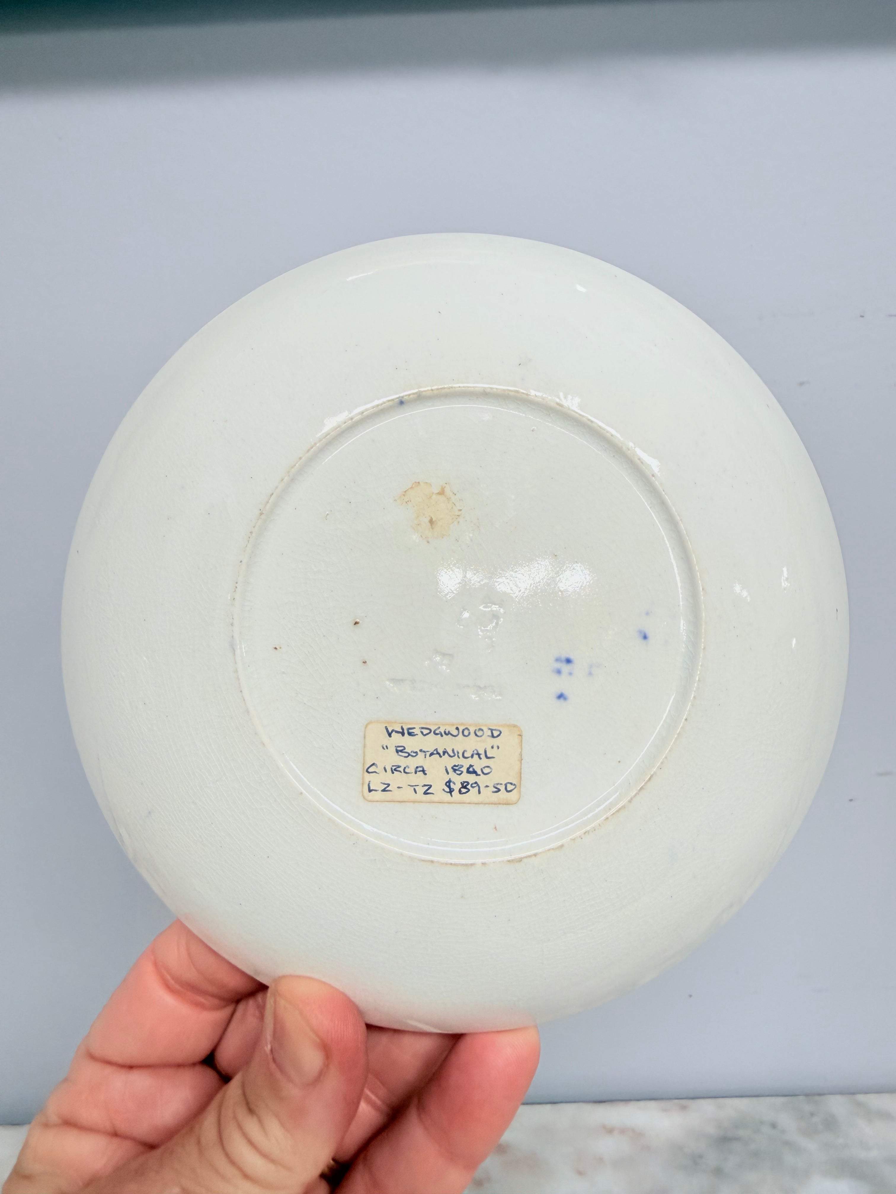 Wedgwood Botanical Cup & Saucer C1840 | Antique & Vintage | Moonee Ponds Antiques | Australia Wide