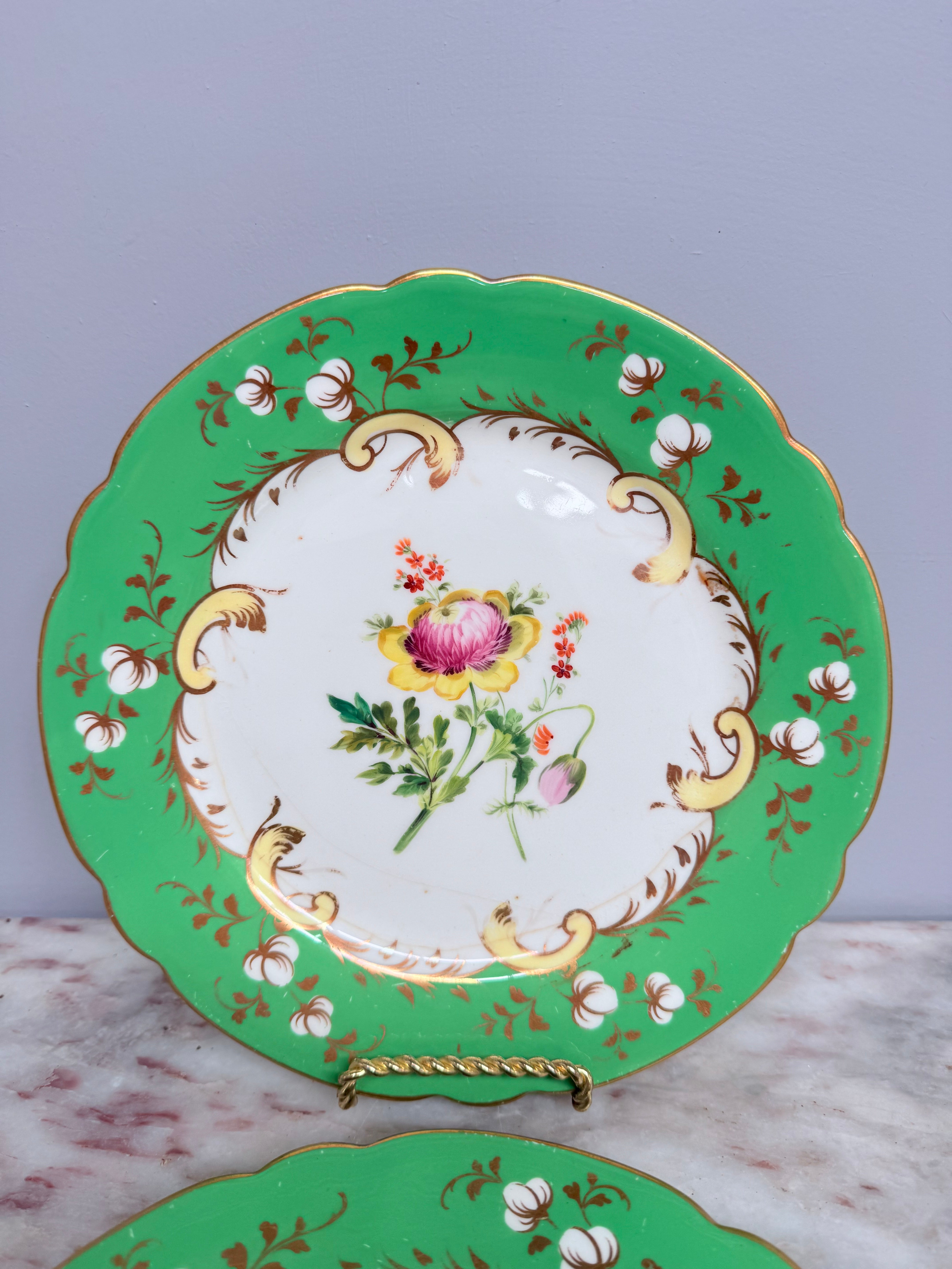 Pair of Antique 'Rockingham' C1840 Plates | Antique & Vintage | Moonee Ponds Antiques | Australia Wide