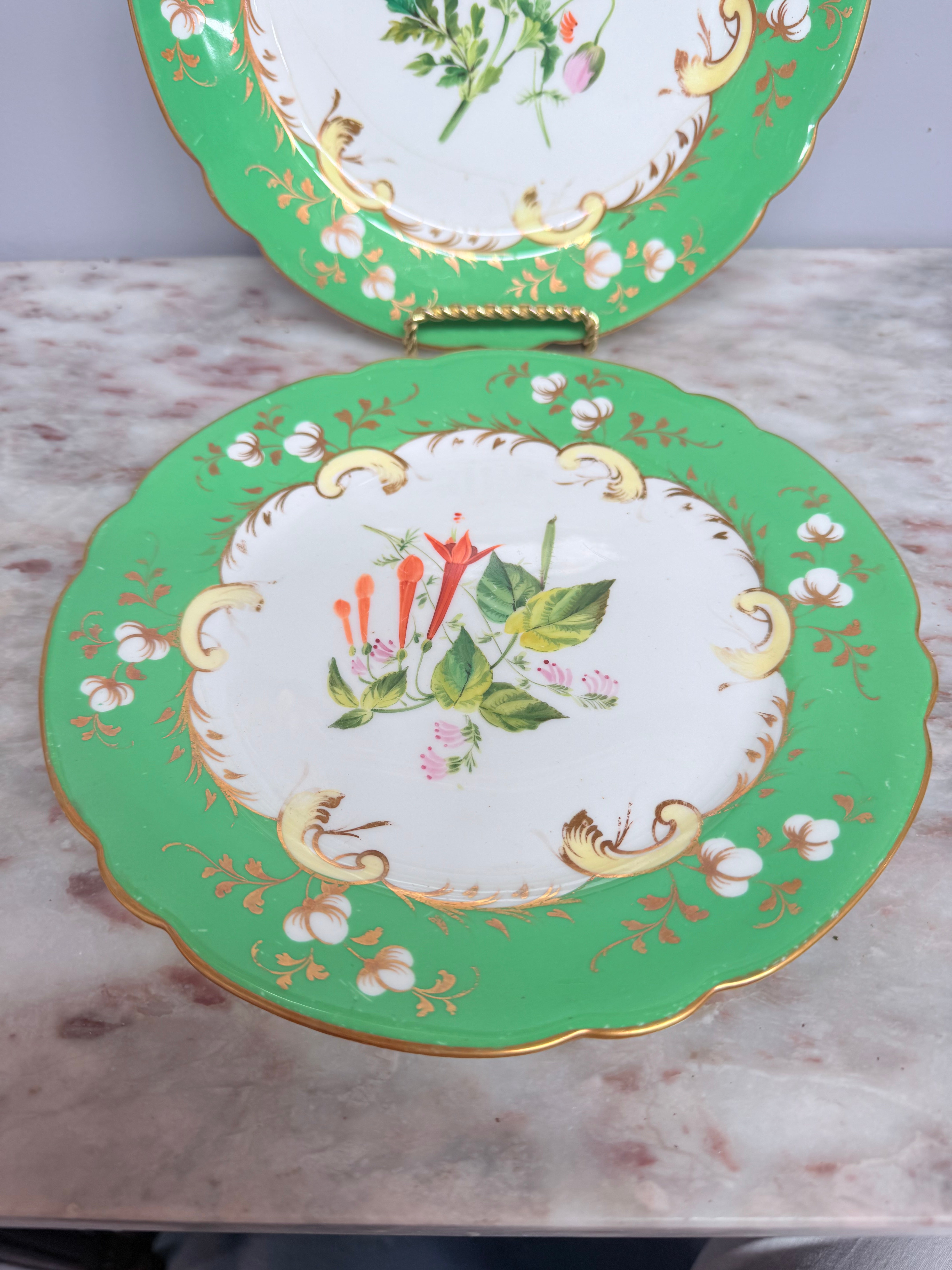 Pair of Antique 'Rockingham' C1840 Plates | Antique & Vintage | Moonee Ponds Antiques | Australia Wide