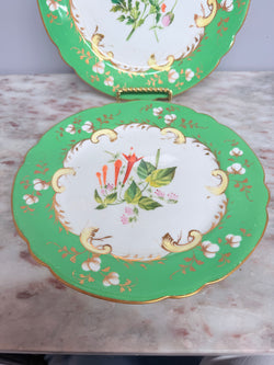 Pair of Antique 'Rockingham' C1840 Plates | Antique & Vintage | Moonee Ponds Antiques | Australia Wide Delivery