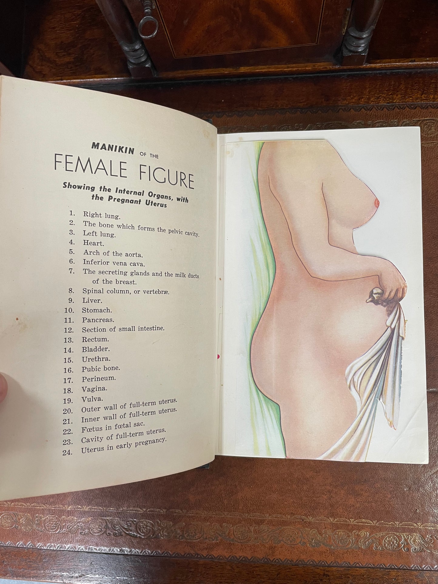 Ladies Handbook of Home Treatment