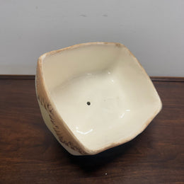 Vintage Cheese Dish Cover