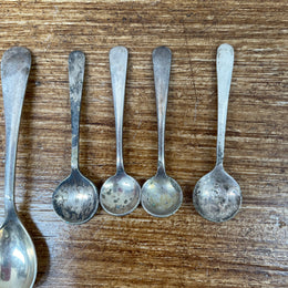 Collection of Antique & Vintage Salt Spoons