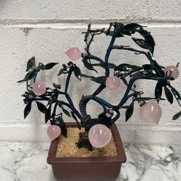 Vintage Chinese Bonsai Tree