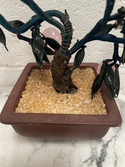 Vintage Chinese Bonsai Tree | Antique & Vintage | Moonee Ponds Antiques | Australia Wide Delivery
