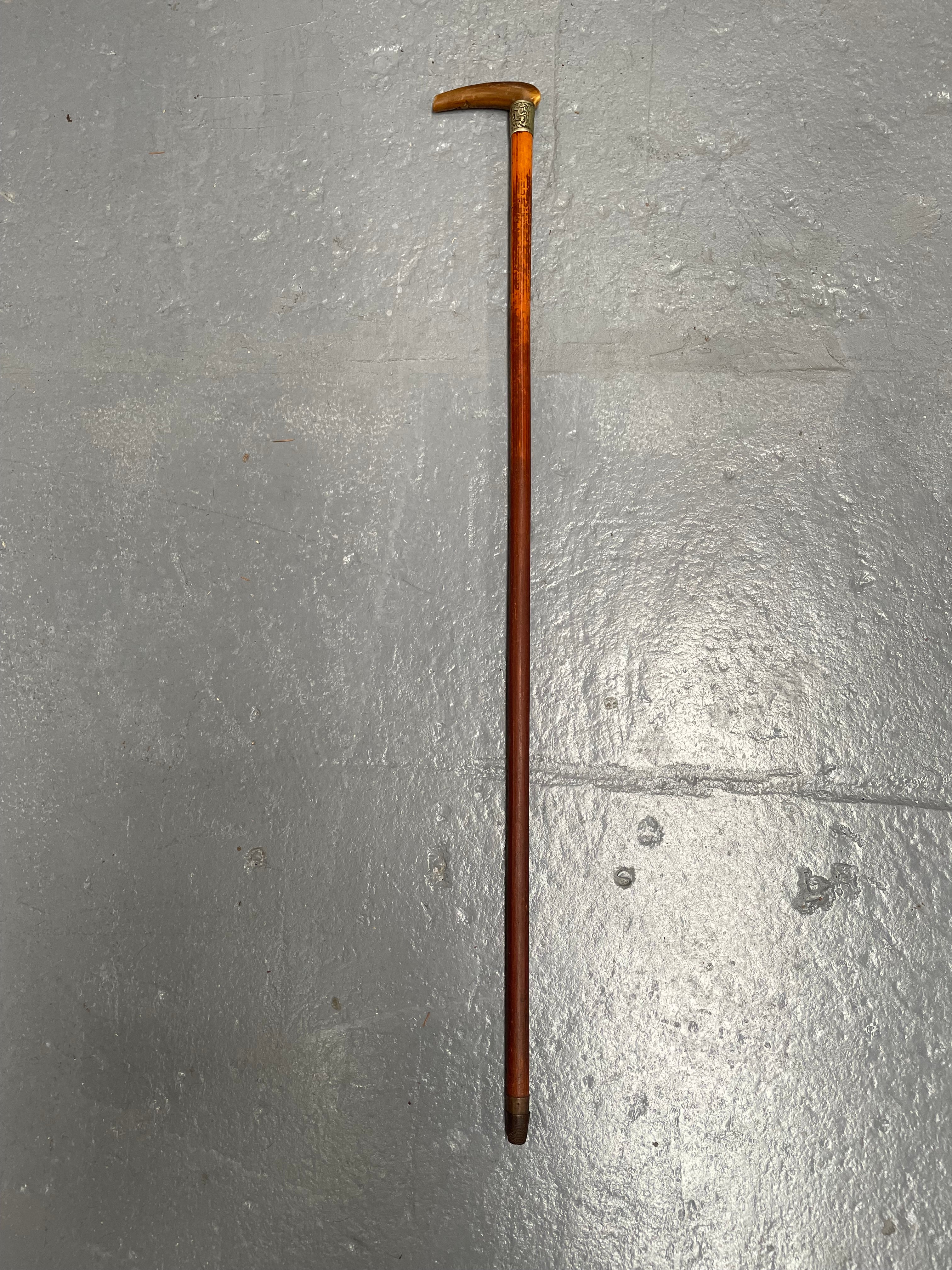 Antique Walking Stick With a Bone Handle EPNS Engraved Mount | Antique & Vintage | Moonee Ponds Antiques | Australia Wide Delivery