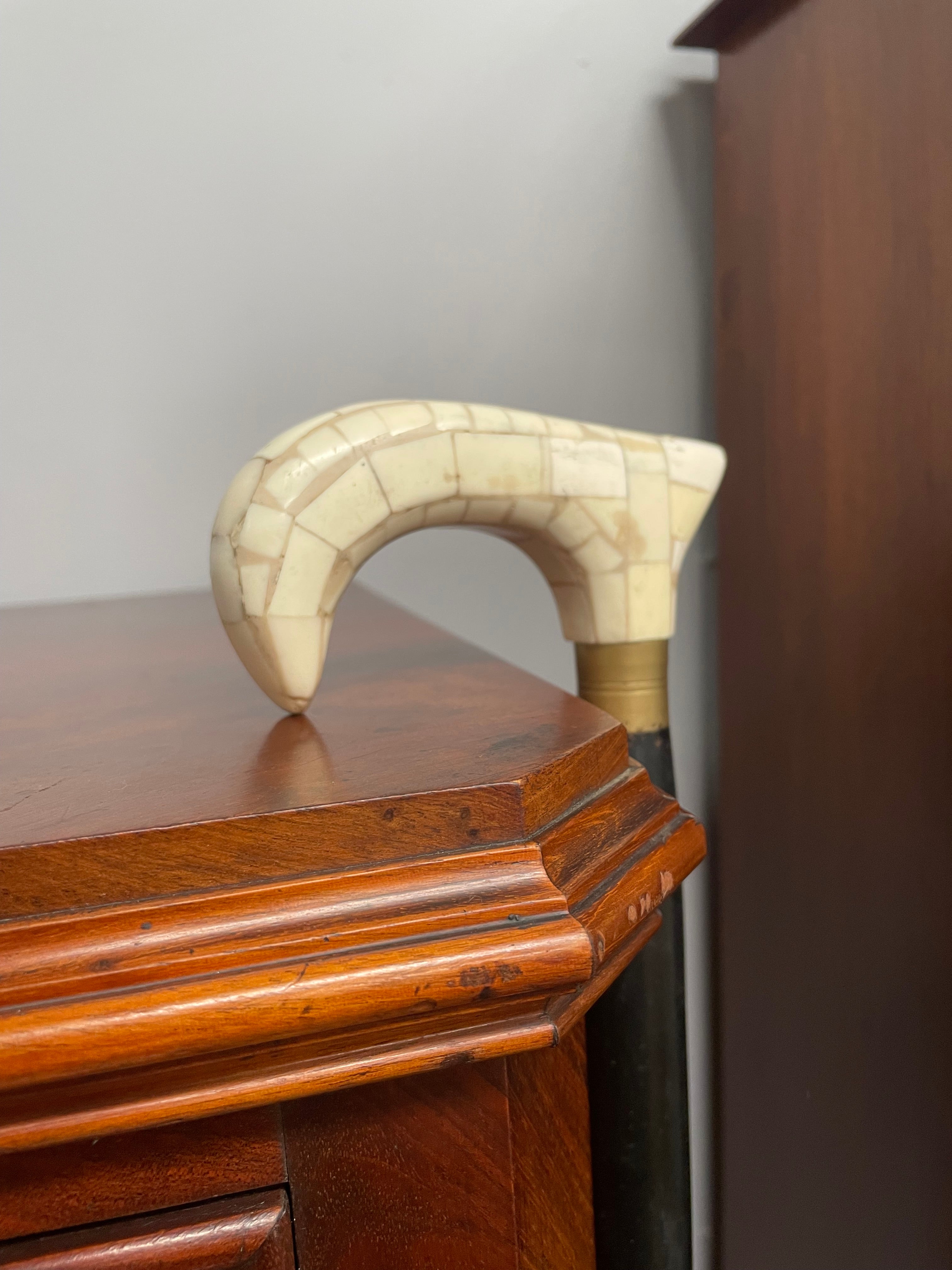 Vintage Walking Stick With Bone Handle & Ebony Wood | Antique & Vintage | Moonee Ponds Antiques | Australia Wide Delivery