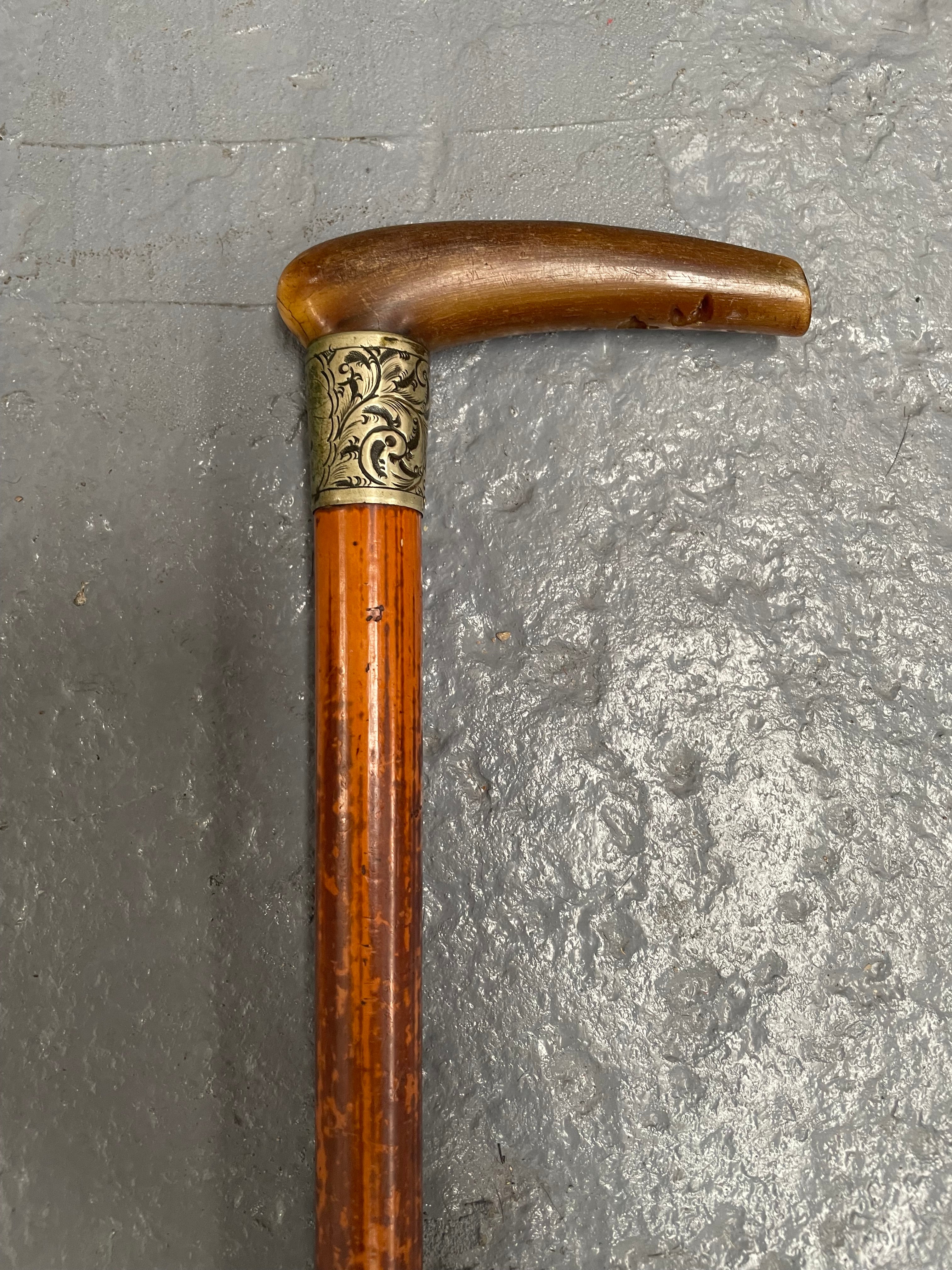 Antique Walking Stick With a Bone Handle EPNS Engraved Mount | Antique & Vintage | Moonee Ponds Antiques | Australia Wide Delivery