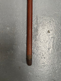 Antique Walking Stick With a Bone Handle EPNS Engraved Mount | Antique & Vintage | Moonee Ponds Antiques | Australia Wide Delivery