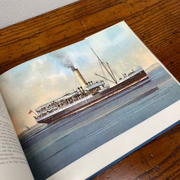 Down the Bay: The Story of the Excursion Steamers of Port Phillip Book by T. K. Fitchett