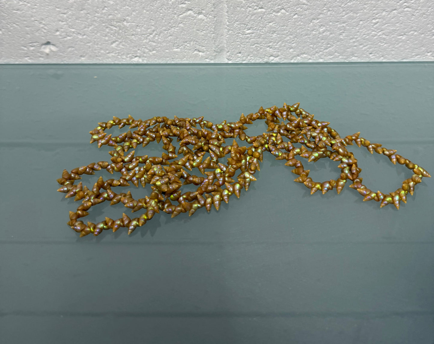 Long Vintage Tasmanian Aboriginal Rainbow Kelp Maireener Necklace