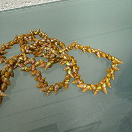 Long Vintage Tasmanian Aboriginal Rainbow Kelp Maireener Necklace