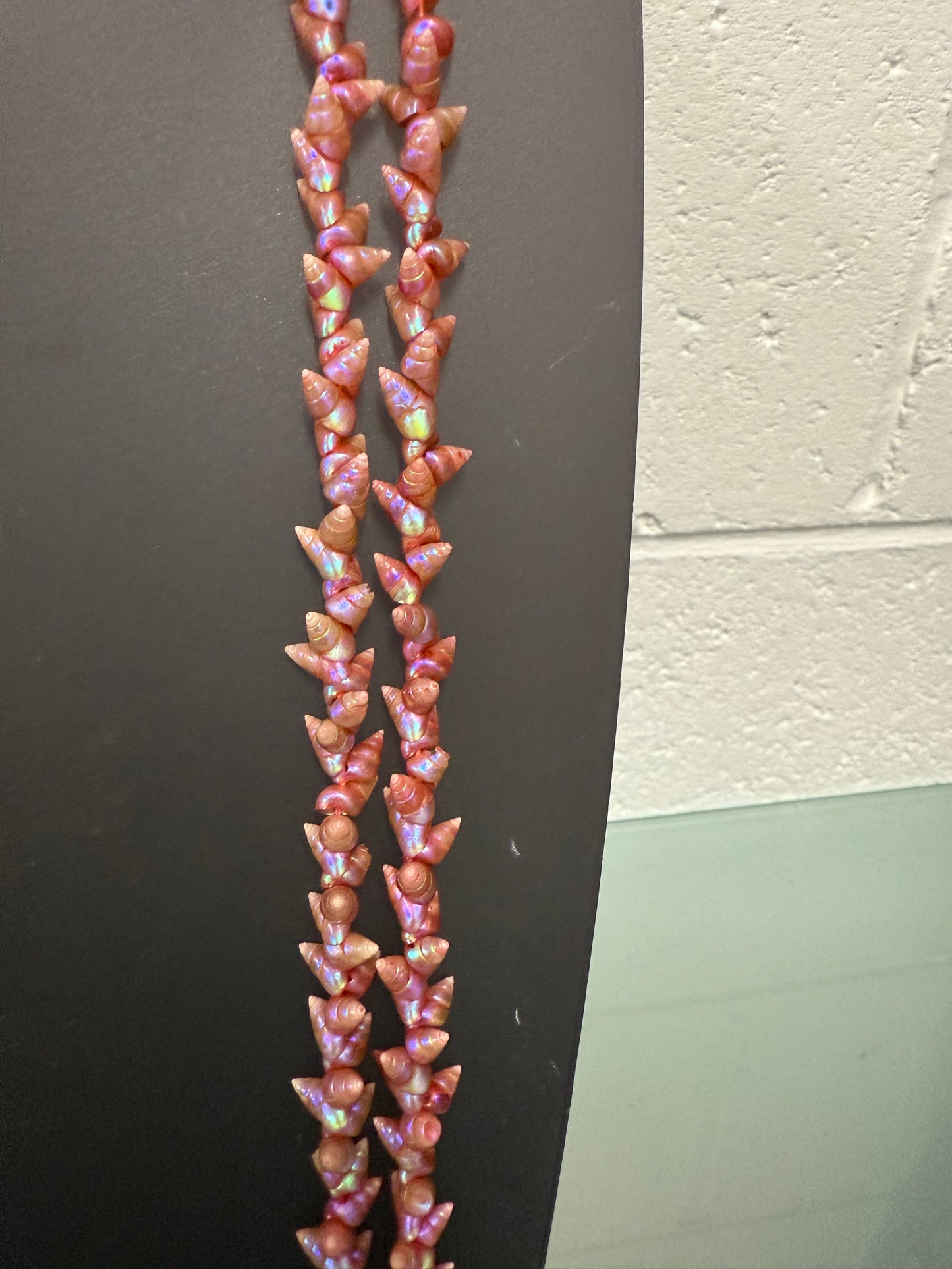 Vintage Tasmanian Aboriginal Maireener Shell Necklace